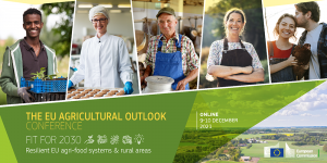 eu-agri-outlook-2021-banner_en.png
