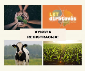 Vyksta registracija!.jpg