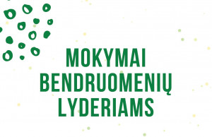 Mokymai bendruomenių lyderiams.JPG