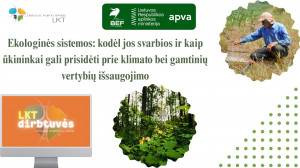 LKT DIRBTUVĖS FONAS (2).jpg