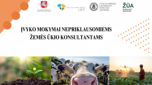 Mokymai konsultantams.jpg