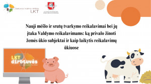 LKT dirbtuvės 09.02.jpg
