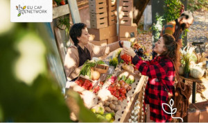 Ekrano nuotrauka 2025-11-11 083621.jpg