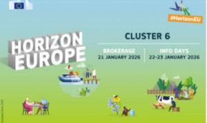 Ekrano nuotrauka 2025-12-17 143109.jpg