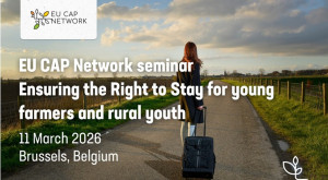 Ekrano nuotrauka 2026-01-14 094741.jpg