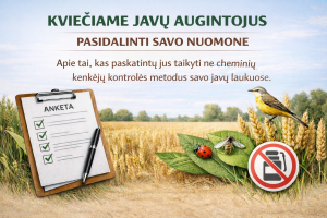 Apklausos paveikslėlis.png