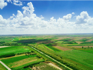 Ekrano nuotrauka 2026-05-19 145558.jpg