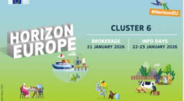 Ekrano nuotrauka 2025-12-17 143109.jpg