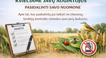 Apklausos paveikslėlis.png