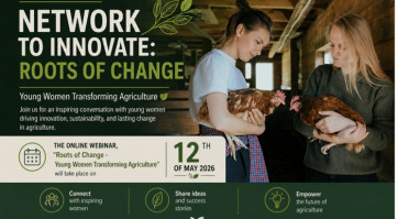 Ekrano nuotrauka 2026-04-29 082155.jpg