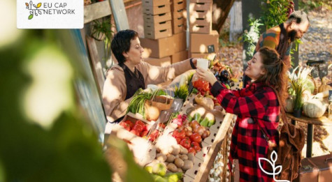 Ekrano nuotrauka 2025-11-11 083621.jpg