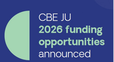 Ekrano nuotrauka 2025-12-17 140058.jpg