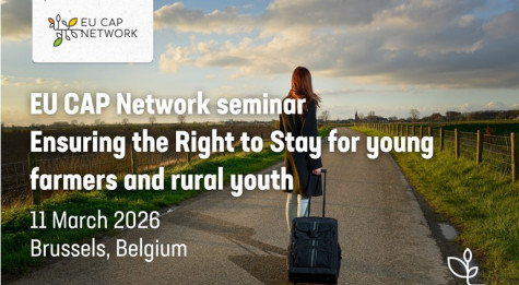 Ekrano nuotrauka 2026-01-14 094741.jpg