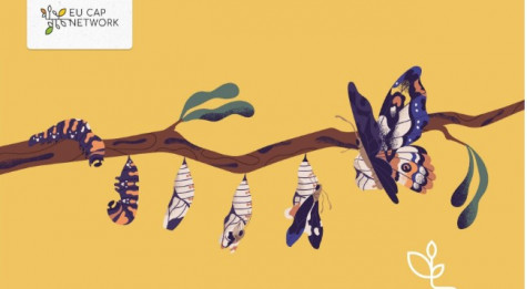 Ekrano nuotrauka 2026-02-05 091044.jpg