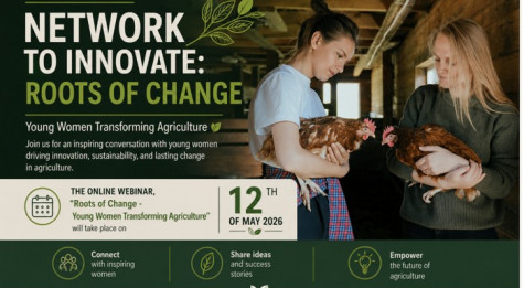 Ekrano nuotrauka 2026-04-29 082155.jpg