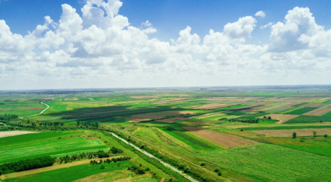 Ekrano nuotrauka 2026-05-19 145558.jpg
