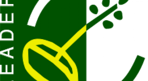 220px-LEADER-Logo.svg_.png