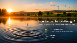 Innovation_webinar.png