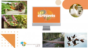 LKT DIRBTUVĖS FONAS 03.25.jpg