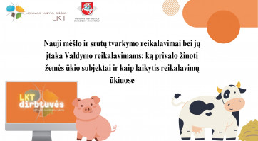 LKT dirbtuvės 09.02.jpg