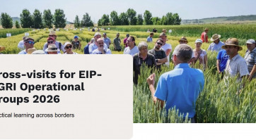 Ekrano nuotrauka 2026-02-13 091450.jpg