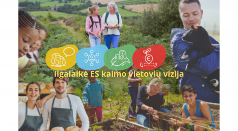 ilgalaikė ES kaimo vietovių vizija #rural2040 (1).png