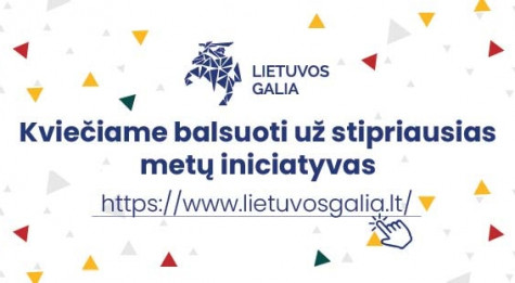 Lietuvos galia balsavimas.jpg