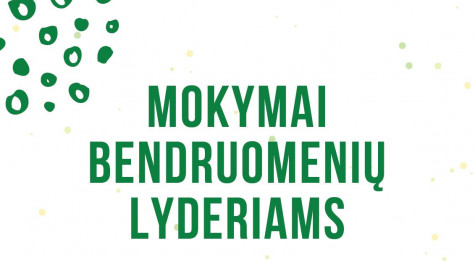 Mokymai bendruomenių lyderiams.JPG