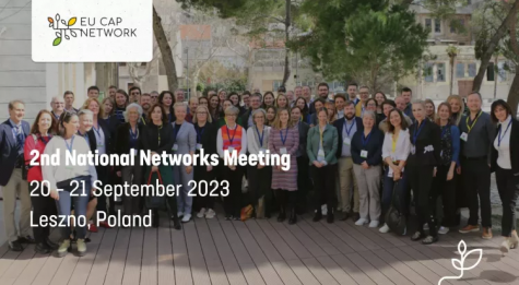 2nd National Networks Meeting Banneris.png