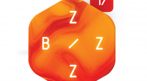 BiZzZ 17 logo-01.png