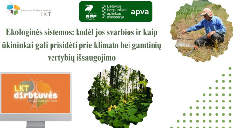 LKT DIRBTUVĖS FONAS (2).jpg