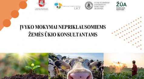 Mokymai konsultantams.jpg