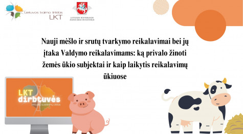 LKT dirbtuvės 09.02.jpg