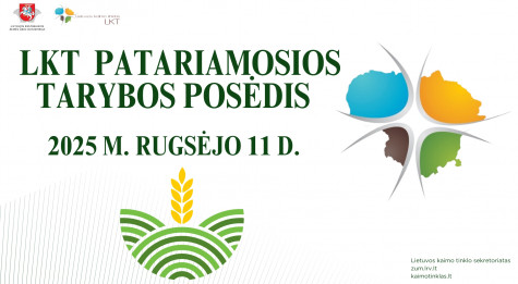 Patariamosios tarybos posėdis.jpg