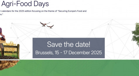 Ekrano nuotrauka 2025-10-29 112153.jpg