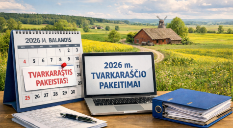 Lithuanian countryside office setup.png