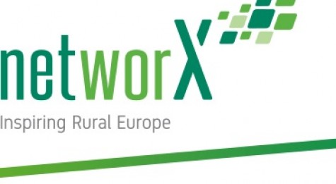 networX-1.jpg