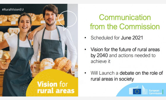 Rural vision.jpg