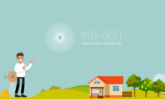 EIP-AGRI – Innovation Support Services