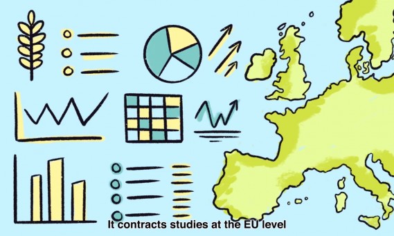 Evaluating Rural Development Programmes – Main Actors